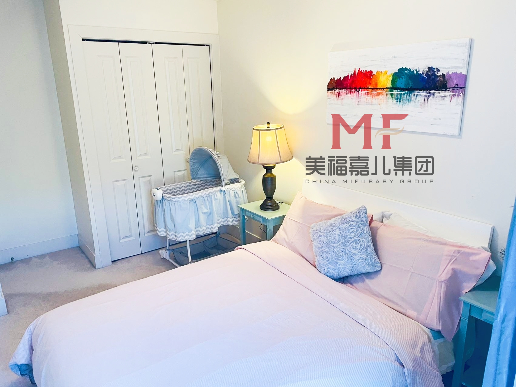 去加拿大生子